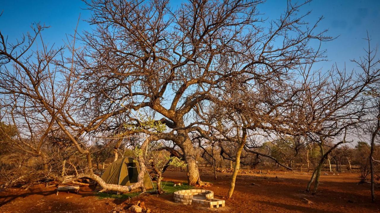 Zuricamp - Campsite Halishi Tsumeb Exteriör bild